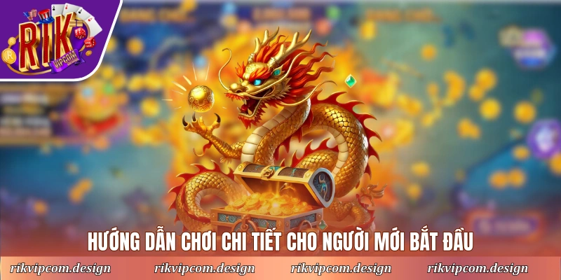 Hướng dẫn chơi chi tiết cho người mới bắt đầu