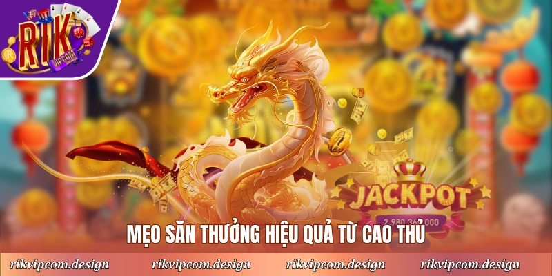 Mẹo săn thưởng hiệu quả từ cao thủ